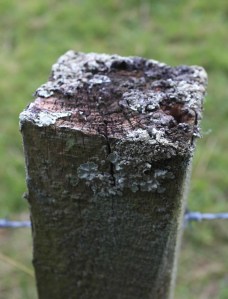 fencepost 6 