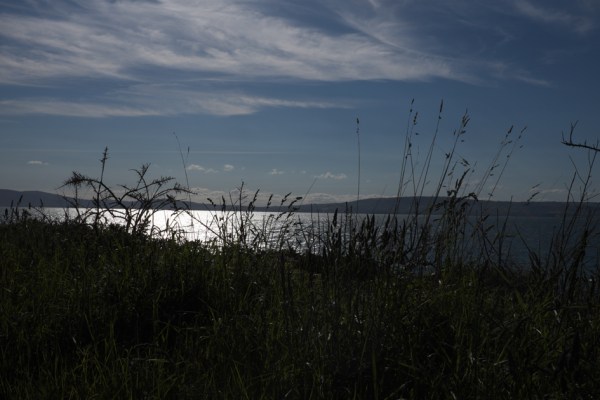 shoreline marks 7-6-15 