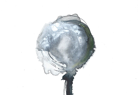 spoon114  detail web