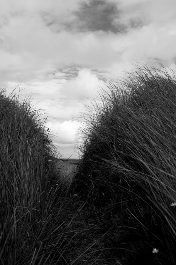 melmore path b-w 72dpi